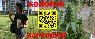 прущие крисы Рыбинск